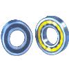 Single Row Cylindrical Roller Bearings