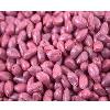 Seed Coating Polymer Maize