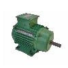 Industrial Grade Induction Motor