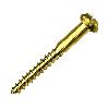 Brass Made Csk Screw