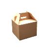 Brown Coloured Packaging Box