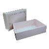 White Coloured Carton Box