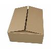 Packaging Purpose Corrugated Carton Box