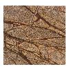 Brown Marble Stone Tile/ Slab