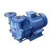 Conical/ Flat Port Liquid Ring Vacuum Pump