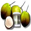 Coconut Oil