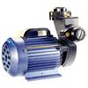 Monoblock Pumps