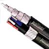 Pvc Power/control Cables