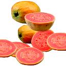 Pink Guava Pulp