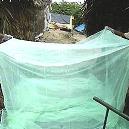 Mosquito Net