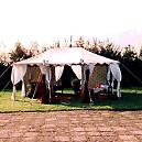 Party Tents