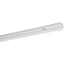 Linear Fluorescent Lamp