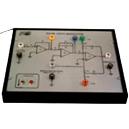 Transistor with Direct Coupled Amplifier Circuits