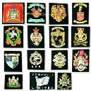 Military Badges In Multicolor