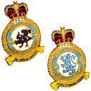 Embroidered Squadron Badges