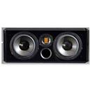 Professional Audio System With Center Speaker