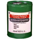 Solvent Based Synthetic Enamel Paint