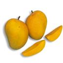 Various types of Mangoes