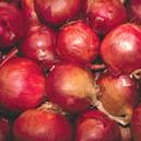 Various types of Onions