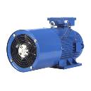 Variable Frequency Inverter Duty Motor