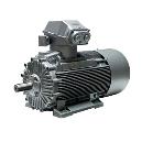 Surface Cooled Low Voltage Industrial Motor