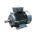 Electrically Designed Low Voltage Industrial Motor