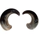 Decorative Polished Natural Horn