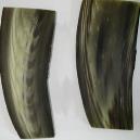 Buffalo Horn Plates from Tip