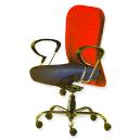 Executive Ergonomic Chair to Match the Body Contours