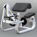 Biangular Plate Loaded Bicep Curl Fitness Equipment