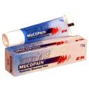 Mucosal Pain Relieving Gel