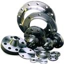 Stainless Steel Forged Flanges