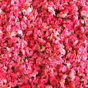 Liquid Organic Rose Petals Preserve