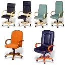 Revolving Type Cushioned Executive Chair