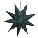 Embroidered/ Beads Designed Black Star