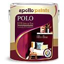 100% Acrylic Water-Based Emulsion Paint