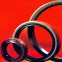 Rubber Moulded Rotary Shaft Seal