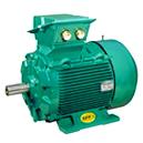 Alternate Current Induction Motor