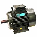 Three Phase Motors