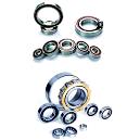 Corrosion and Abrasion Resistant Ball Bearings