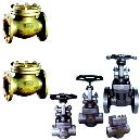 Stainless Steel Valves