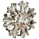 260cc Capacity Radial Petrol Engine