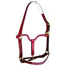 Padded Leather Horse Halter