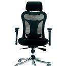 Executive Chair with Back Support