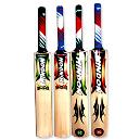 English Willow Cricket Bat