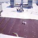 Chemical Resistant Polymeric Waterproofing Membrane