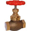 Globe Steam Stop Valve Screwed