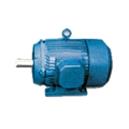 Three Phase Industrial grade Induction Motor