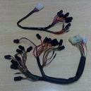 Automotive Type Wire Harness