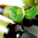 Hygienically Processed Dementholised Peppermint Oil